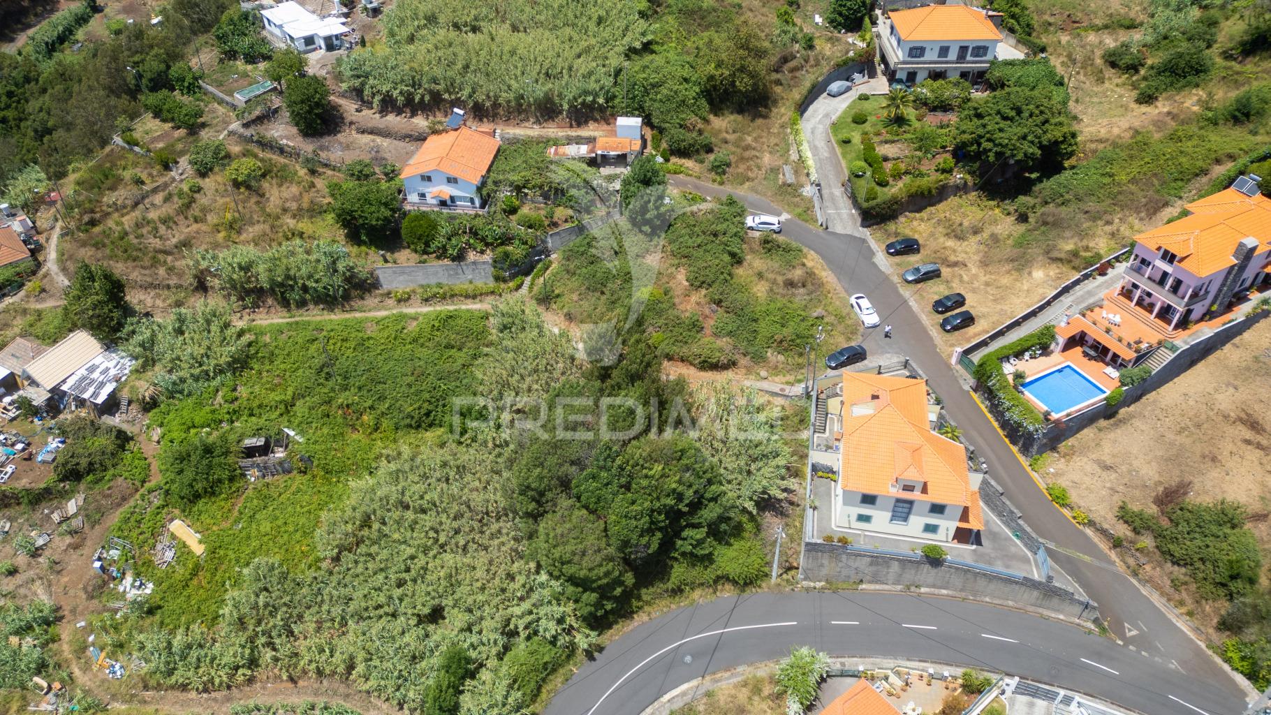 Terreno caniço
