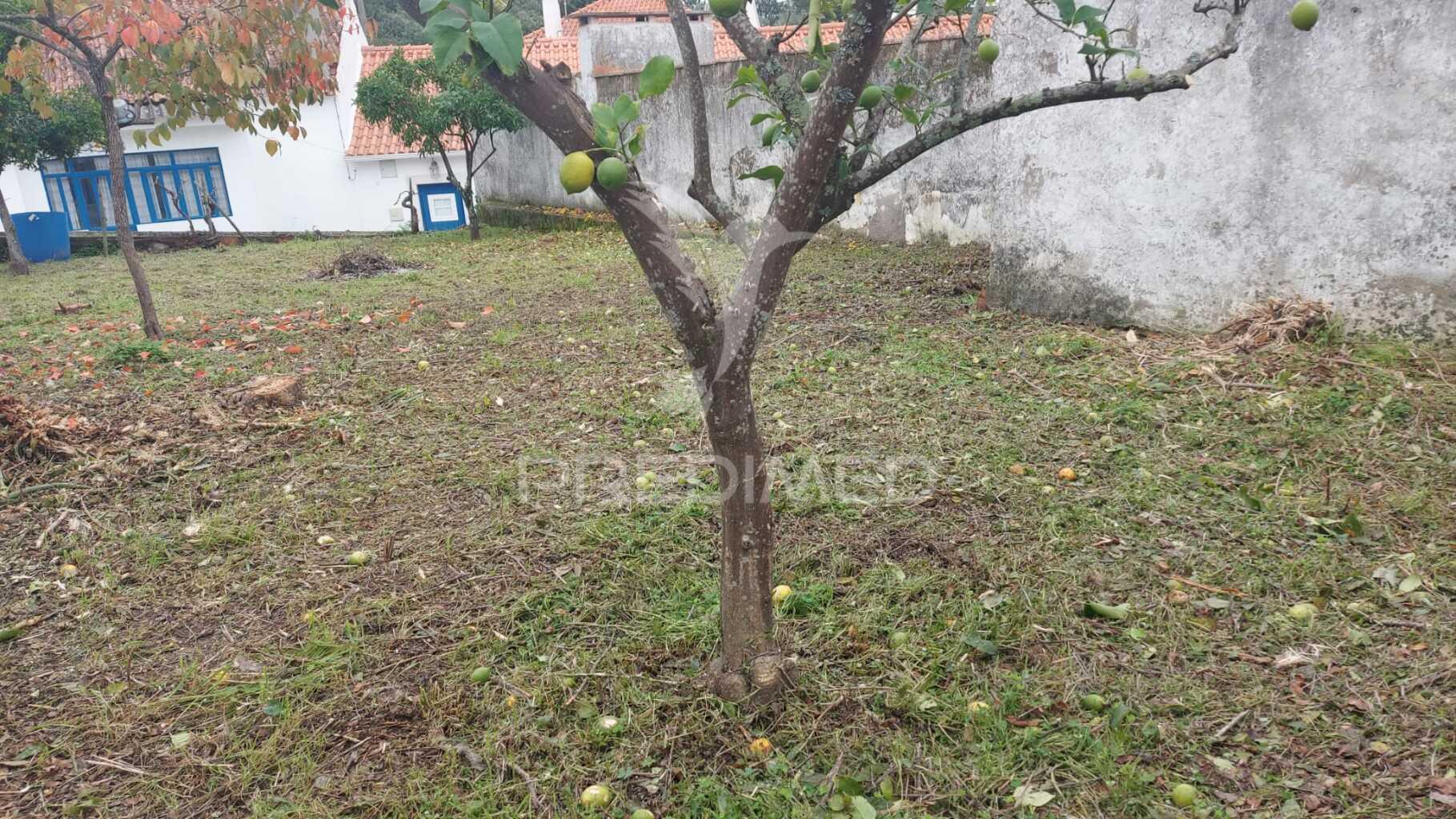 Lote de terreno urbano, canal, abrã, santarém.