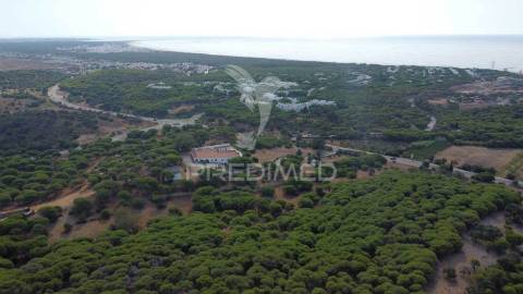 Terreno misto, altura, 17ha, 8100m2 construção, pip aprovado