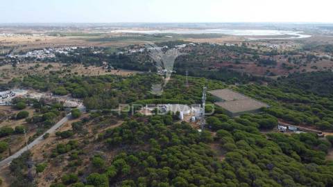 Terreno misto, altura, 17ha, 8100m2 construção, pip aprovado