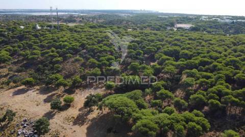 Terreno misto, altura, 17ha, 8100m2 construção, pip aprovado