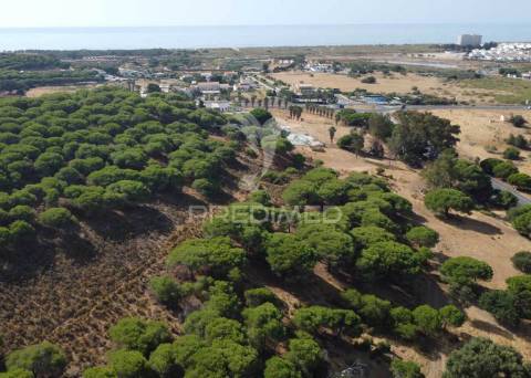 Terreno misto, altura, 17ha, 8100m2 construção, pip aprovado