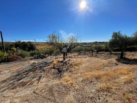 Moradia em almendra – vila nova de foz côa