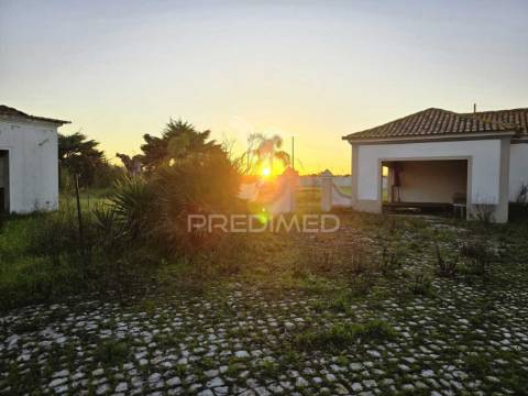 Quinta com 10.000 m² e armazém licenciado para indústria — palmela