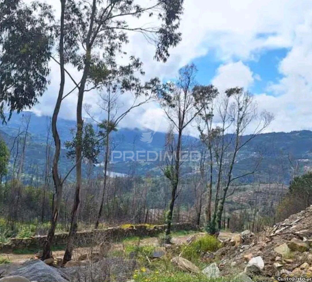 Terreno para construção em balde santa leocádia-baião com vistas para o douro