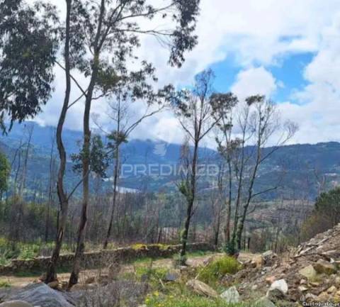 Terreno para construção em balde santa leocádia-baião com vistas para o douro