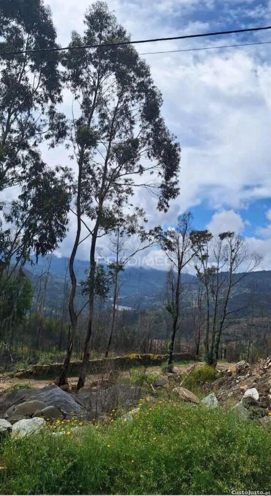 Terreno para construção em balde santa leocádia-baião com vistas para o douro