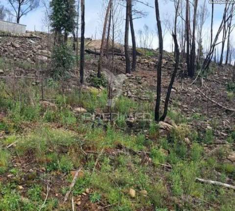 Terreno para construção em balde santa leocádia-baião com vistas para o douro