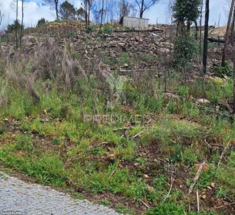 Terreno para construção em balde santa leocádia-baião com vistas para o douro