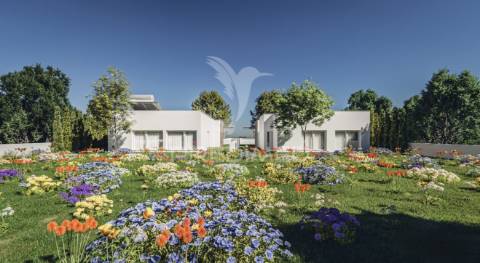 Vale das cerejeiras – o equilíbrio perfeito entre natureza, conforto e sofisticação!