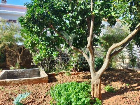 Moradia t3 com cave, quintal e excelente potencial em minde