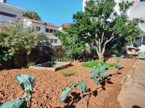 Moradia t3 com cave, quintal e excelente potencial em minde