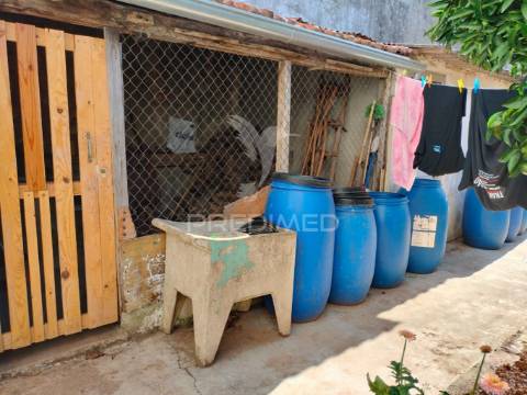 Moradia t3 com cave, quintal e excelente potencial em minde