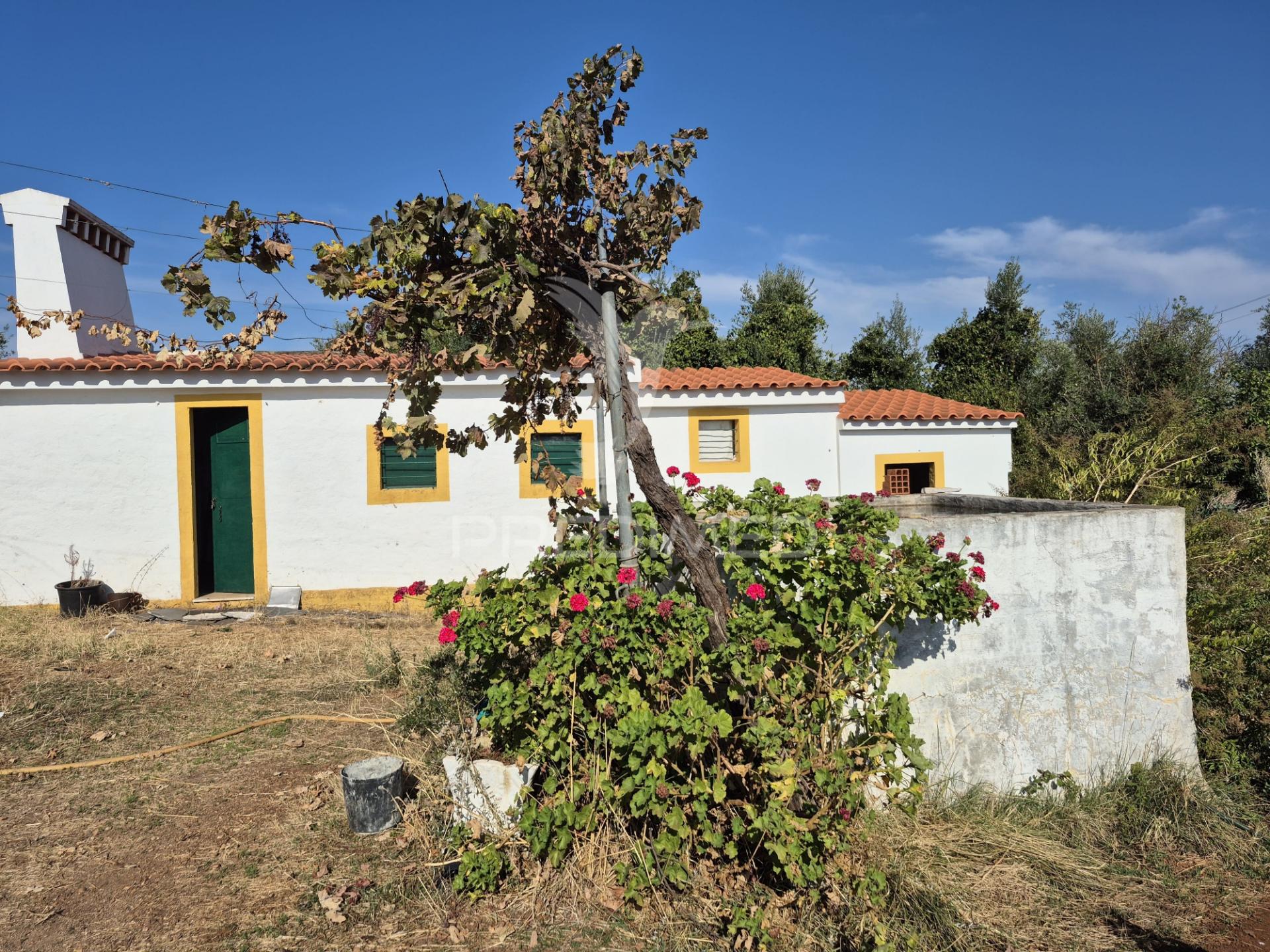 Terreno rustico
