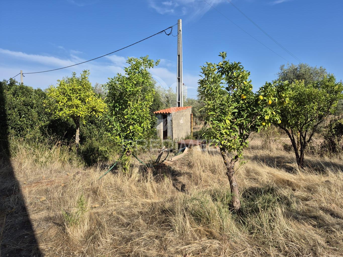 Terreno rustico