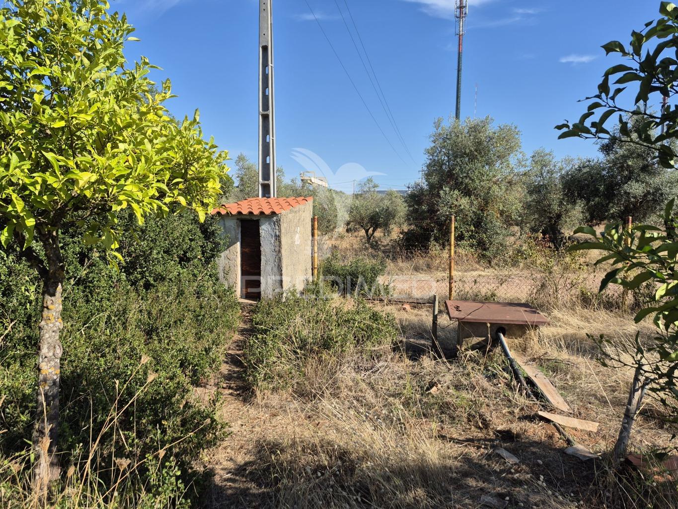 Terreno rustico