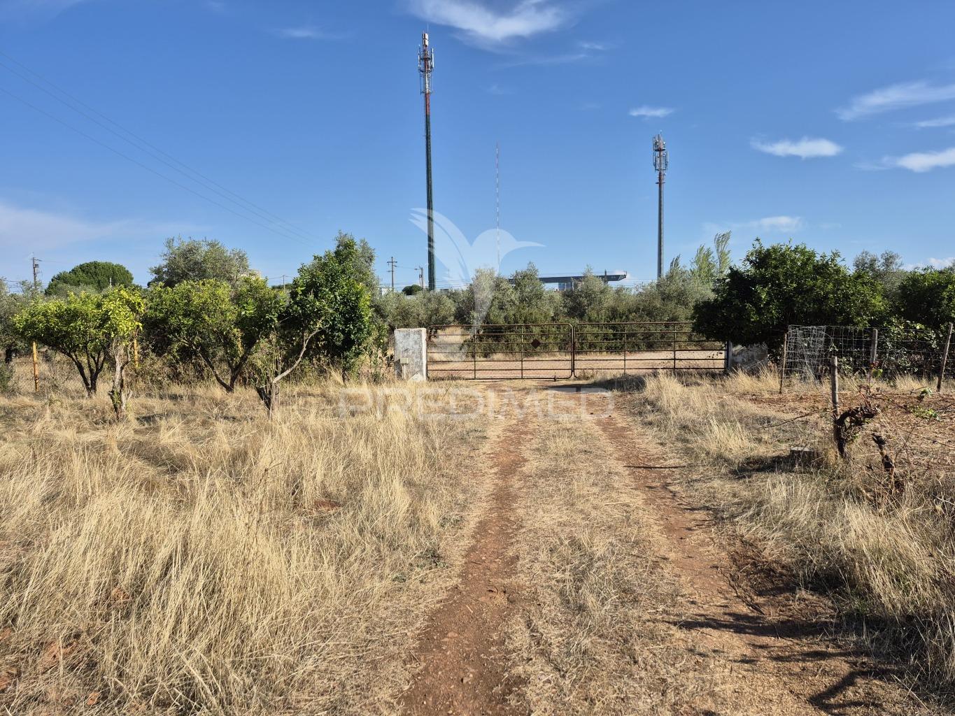Terreno rustico