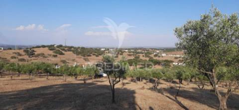 Aldeamento turístico - casa de campo