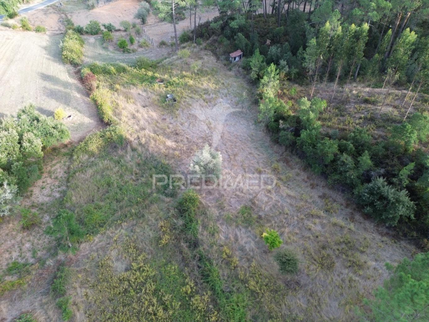 Terreno rústico com 5.160 m² — arneiro das milhariças, santarém
