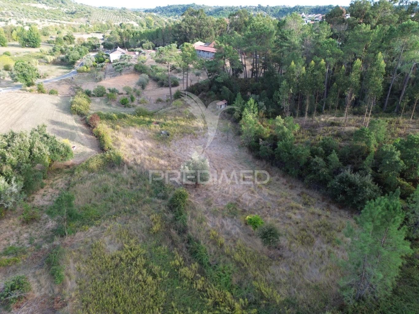 Terreno rústico com 5.160 m² — arneiro das milhariças, santarém