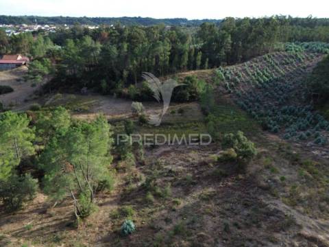 Terreno rústico com 5.160 m² — arneiro das milhariças, santarém