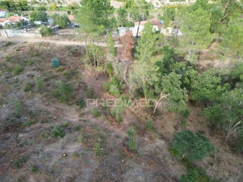 Terreno rústico com 5.160 m² — arneiro das milhariças, santarém