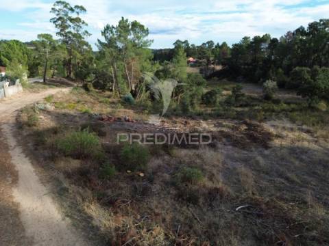 Terreno rústico com 5.160 m² — arneiro das milhariças, santarém