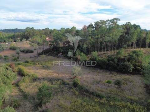 Terreno rústico com 5.160 m² — arneiro das milhariças, santarém