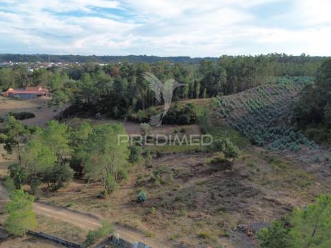 Terreno rústico com 5.160 m² — arneiro das milhariças, santarém