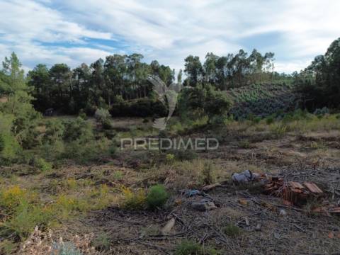 Terreno rústico com 5.160 m² — arneiro das milhariças, santarém