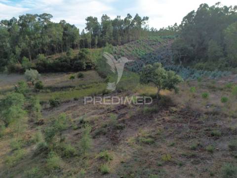 Terreno rústico com 5.160 m² — arneiro das milhariças, santarém