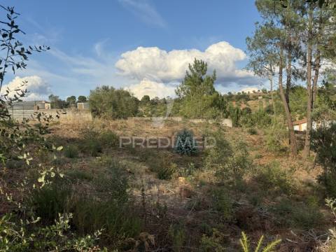 Terreno rústico com 5.160 m² — arneiro das milhariças, santarém