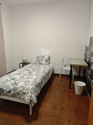 Quartos para arrendamento – centro de portalegre (junto ao castelo)