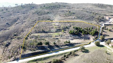 Terreno com projeto aprovado no alvendre – guarda