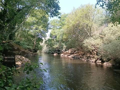 Quinta a confinar com o rio mondego com cerca  de 14 hectares