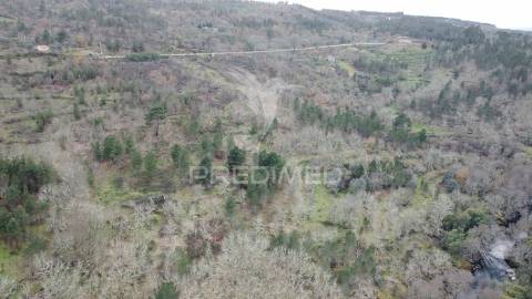 Quinta a confinar com o rio mondego com cerca  de 14 hectares