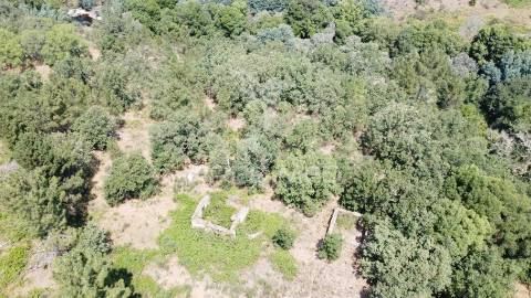 Quinta a confinar com o rio mondego com cerca  de 14 hectares