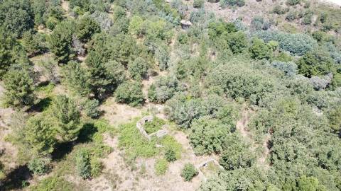 Quinta a confinar com o rio mondego com cerca  de 14 hectares