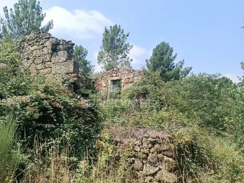 Quinta a confinar com o rio mondego com cerca  de 14 hectares