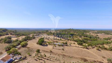 Monte alentejano para recuperar com 6ha