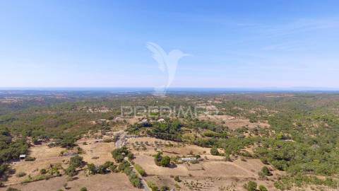 Monte alentejano para recuperar com 6ha