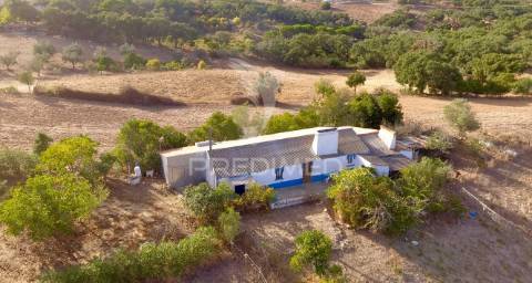 Monte alentejano para recuperar com 6ha