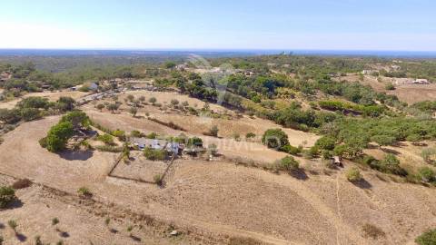 Monte alentejano para recuperar com 6ha