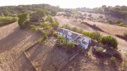 Monte alentejano para recuperar com 6ha