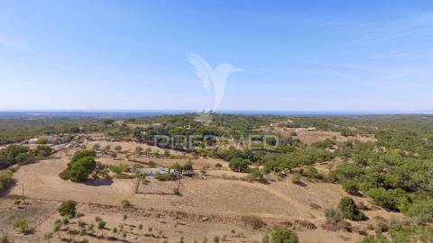 Monte alentejano para recuperar com 6ha
