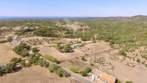 Monte alentejano para recuperar com 6ha