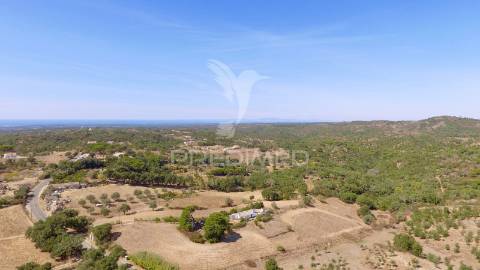 Monte alentejano para recuperar com 6ha