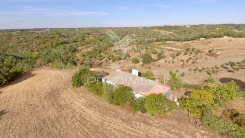Monte alentejano para recuperar com 6ha