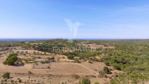 Monte alentejano para recuperar com 6ha