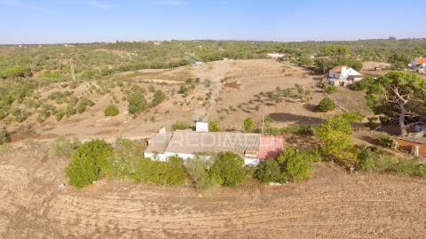Monte alentejano para recuperar com 6ha